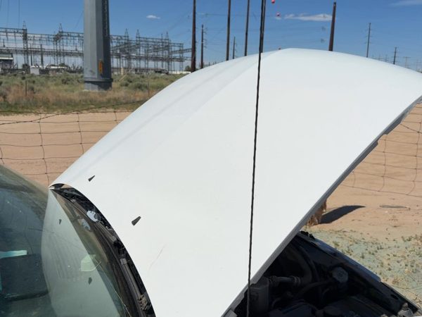2001 Chevrolet S10 Hood White 50U — photo 2