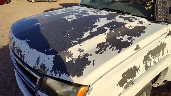 2006 50U Summit White Hd Hood — photo 1