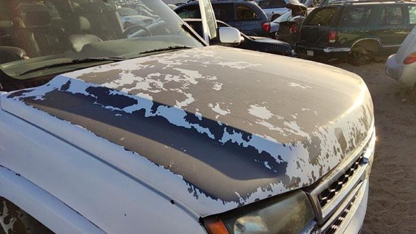2006 50U Summit White Hd Hood — photo 2