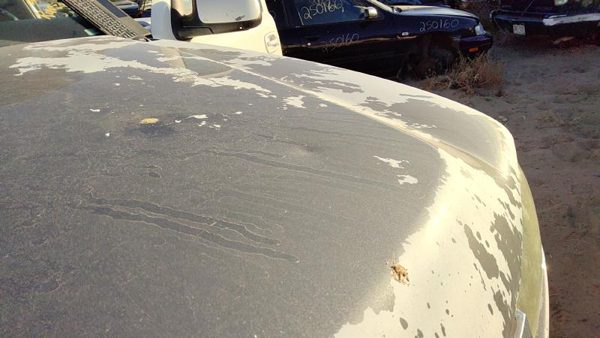 2006 50U Summit White Hd Hood — photo 5