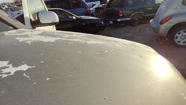 2006 50U Summit White Hd Hood — photo 4