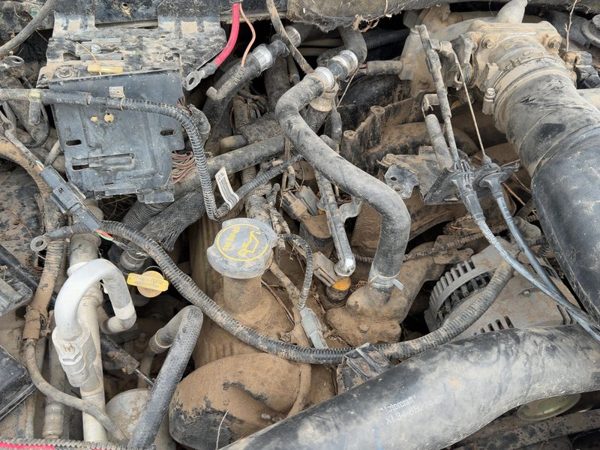 97-04 Ford Expedition Passenger Right Valve Cover Oem 5.4L — photo 2