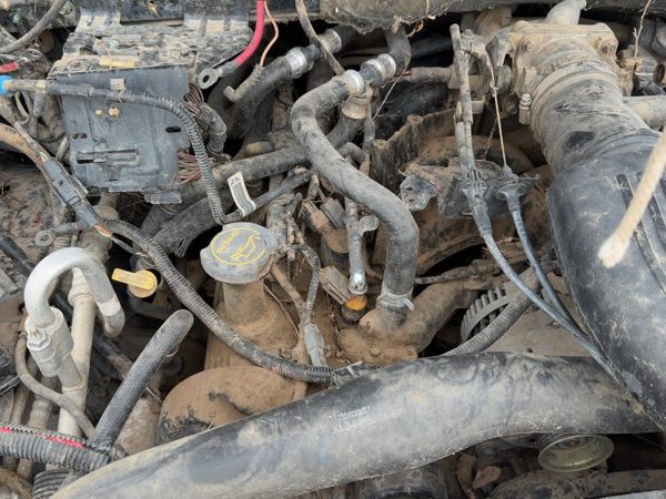 97-04 Ford Expedition Passenger Right Valve Cover Oem 5.4L — photo 1