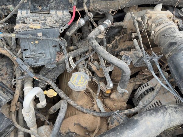 97-04 Ford Expedition Passenger Right Valve Cover Oem 5.4L — photo 4