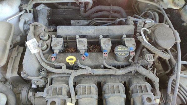 2012-2014 Ford Focus Ford Focus Valve Cover Oem 2.0L Cm5Z6582E — photo 2