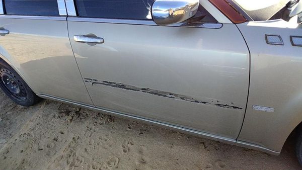2006 Chrysler 300 Front Door RH Gold Pyg — photo 1