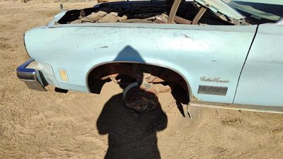 1974-1975 Cutlass Supreme Driver Left Front Fender Oem Blue