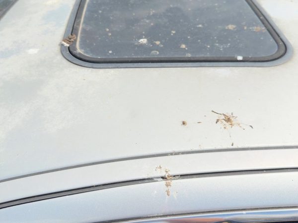 2005-2007 Ford Fivehundred Sun Roof Glass Oem Top Window 4G1Z54500A18Aa — photo 4