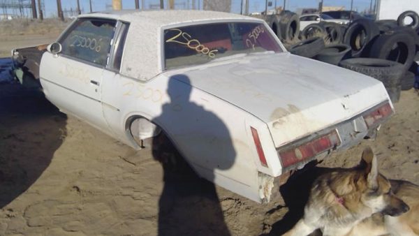 1978 Buick Regal — vehicle photo 4