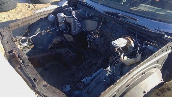 1978 Buick Regal — vehicle photo 2