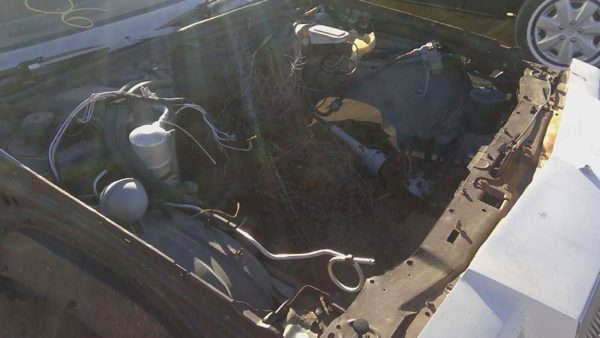 1978 Buick Regal — vehicle photo 7