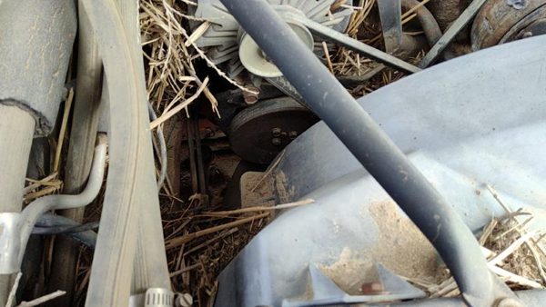 1980 Cadillac Deville Smog Pump Oem Emssions 368 6.0L 07832873 — photo 1