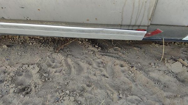 1979 Chevy Caprice Driver Left Front Moulding From Door Oem Trim Strip 4 Door — photo 3