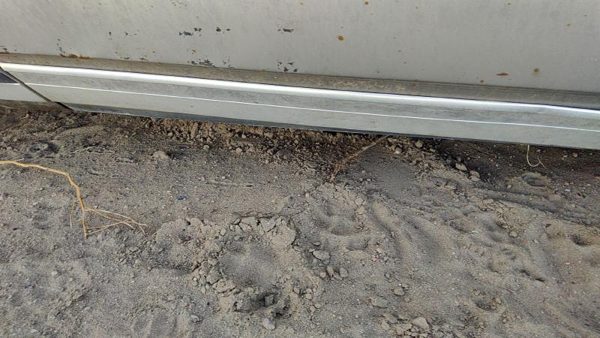 1979 Chevy Caprice Driver Left Front Moulding From Door Oem Trim Strip 4 Door — photo 5