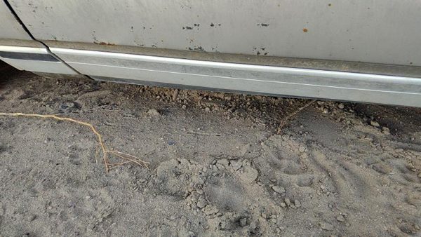 1979 Chevy Caprice Driver Left Front Moulding From Door Oem Trim Strip 4 Door — photo 6