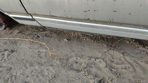 1979 Chevy Caprice Driver Left Front Moulding From Door Oem Trim Strip 4 Door — photo 7
