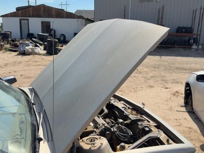 1993 Buick Century Hood Gold