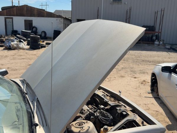 1993 Buick Century Hood Gold — photo 3