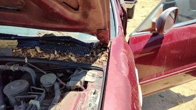 1994-1998 Honda Accord Driver Left Hood Hinge Assembly Oem Red 3946860
