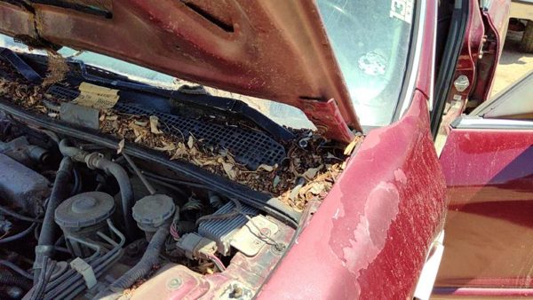 1994-1998 Honda Accord Driver Left Hood Hinge Assembly Oem Red 3946860 — photo 4