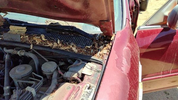 1994-1998 Honda Accord Driver Left Hood Hinge Assembly Oem Red 3946860 — photo 3