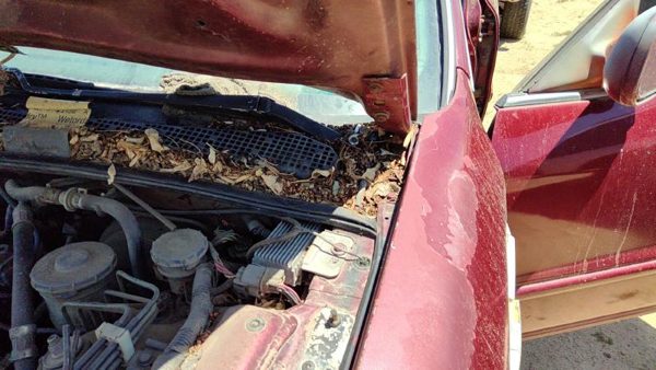 1994-1998 Honda Accord Driver Left Hood Hinge Assembly Oem Red 3946860 — photo 2