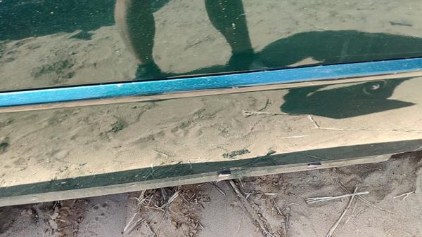 98-04 Cadillac Seville Passenger Right Rear Moulding From Door Back Trim Green — photo 4