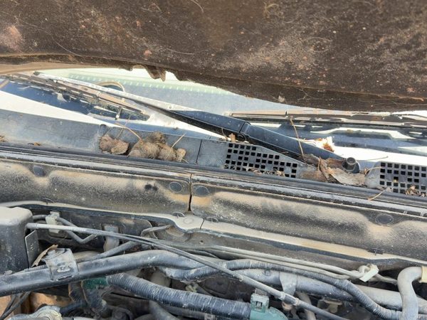 2002-2006 Honda Crv Passenger Right Windshield Wiper Arm Oem Blade Lever — photo 2