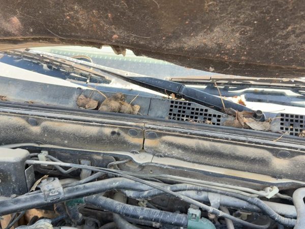 2002-2006 Honda Crv Passenger Right Windshield Wiper Arm Oem Blade Lever — photo 4