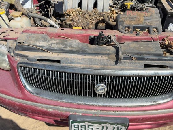 1996-1997 Chrysler Town & Country Front Grille Assembly Oem 04576896 — photo 5
