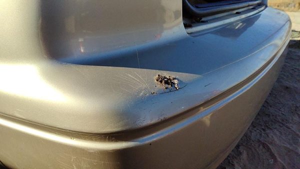 1997-1999 Toyota Camry Rear Bumper Cover Assembly Oem Back Gold — photo 5