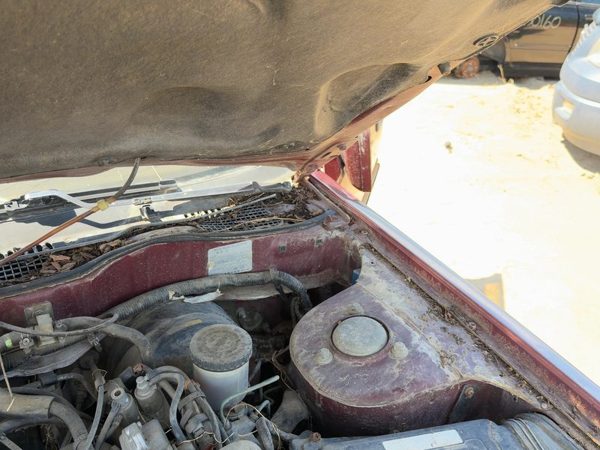 85-88 Maxima Pair Of Hood Hinges Right Left Set Assembly Oem 4Dr Sedan Red — photo 4