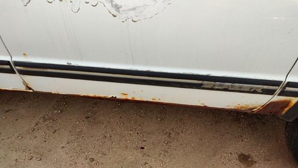 91-94 Chevy S10 Blazer Passenger Right Front Moulding From Door Oem Trim Strip — photo 1