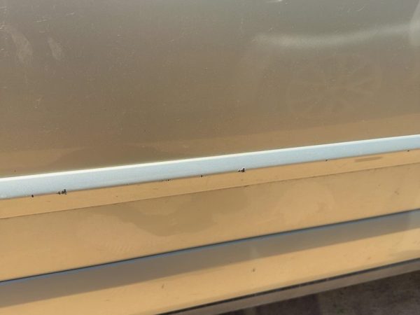 05-09 Legacy Outback Passenger Right Front Upper Moulding From Door Oem Gold 9J — photo 3