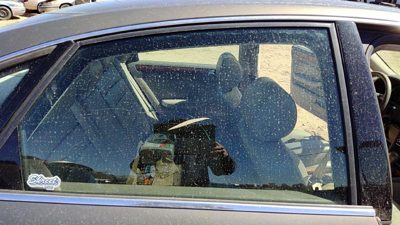 1998-2004 Audi A6 Passenger Right Rear Side Window Door Glass Oem Back 4B5845206