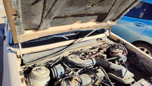 1984-1994 Ford Tempo Pair Of Hood Hinges Right Left Set Assembly Oem Tan — photo 3