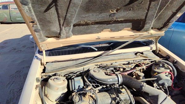 1984-1994 Ford Tempo Pair Of Hood Hinges Right Left Set Assembly Oem Tan — photo 2