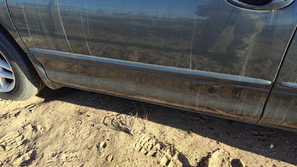98-04 Intrepid Driver Left Front Moulding From Door Trim Strip Steel Blue Pbq — photo 1