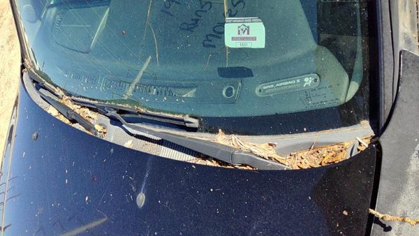 99-02 Infiniti G20 Windshield Wiper Cowl Vent Trim Panel Oem Cover — photo 1