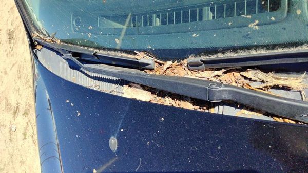 99-02 Infiniti G20 Windshield Wiper Cowl Vent Trim Panel Oem Cover — photo 3