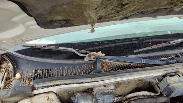 1997-2005 Buick Park Ave Passenger Right Windshield Wiper Arm Oem Blade Lever — photo 1