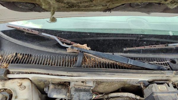 1997-2005 Buick Park Ave Passenger Right Windshield Wiper Arm Oem Blade Lever — photo 2