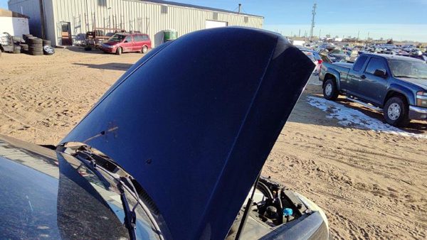 2005 Hyundai XG350 Hood Black — photo 2