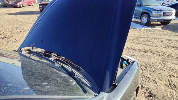 2005 Hyundai XG350 Hood Black — photo 4