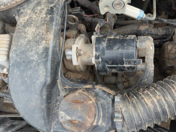 1984 Pontiac Sunbird Ignition Distributor Oem 1.8L 01103561 — photo 3