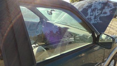 1998-2002 Honda Passport Passenger Right Front Side Window Door Glass Oem