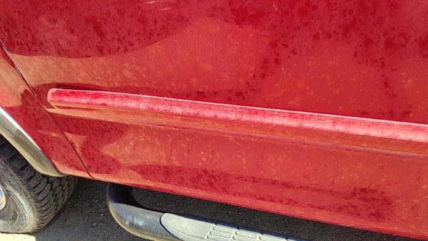 1999-2004 Ford F150 Driver Left Front Moulding From Door Oem Trim Strip Red E4 — photo 4