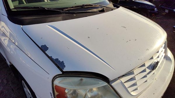 2007 Ford Freestar Hood Wt White 3F2Z16612AA — photo 2