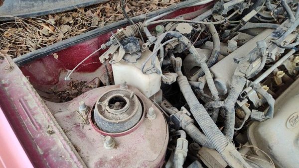 1997 Ford Escort Windshield Washer Fluid Reservoir With Pump Oem Wiper Tank — photo 2
