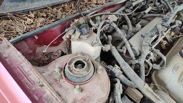 1997 Ford Escort Windshield Washer Fluid Reservoir With Pump Oem Wiper Tank — photo 3